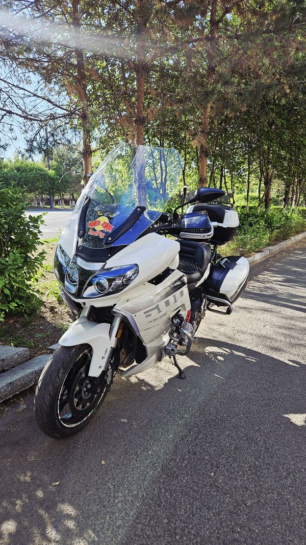 二手贝纳利600GC