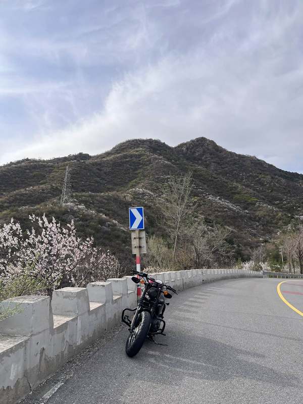 二手哈雷戴维森Forty-Eight 运动者