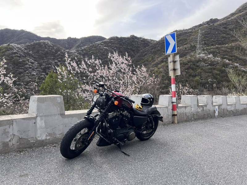 二手哈雷戴维森Forty-Eight 运动者