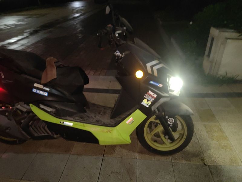 二手林海雄鹿 150