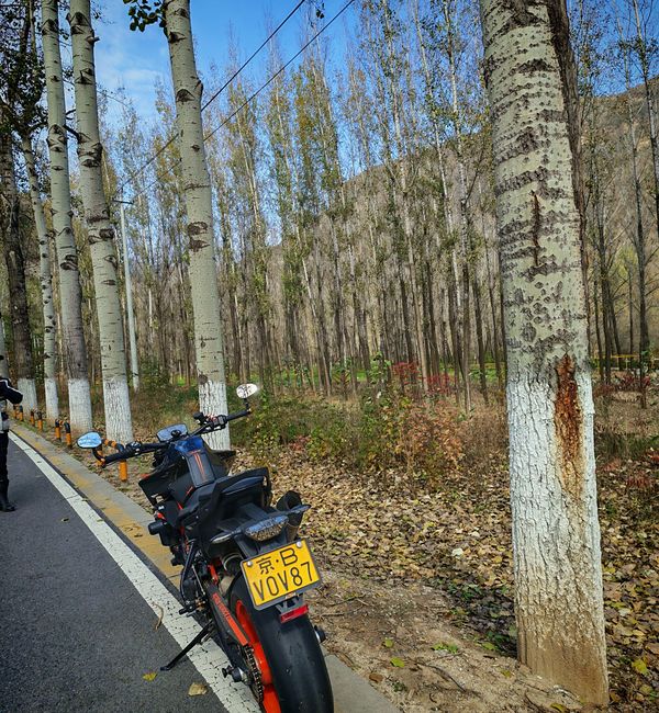 二手KTMR2R890 Duke