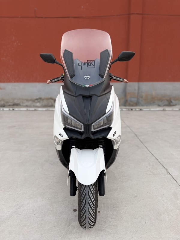 二手三阳Joymax Z 300