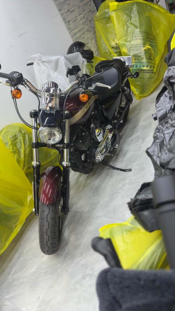 二手哈雷戴维森1200 Custom