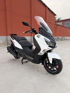 二手三阳Joymax Z 300