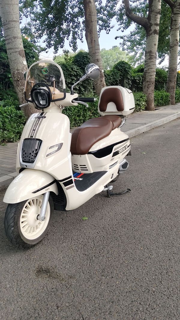 二手南方梦拉丽莎 飞戈