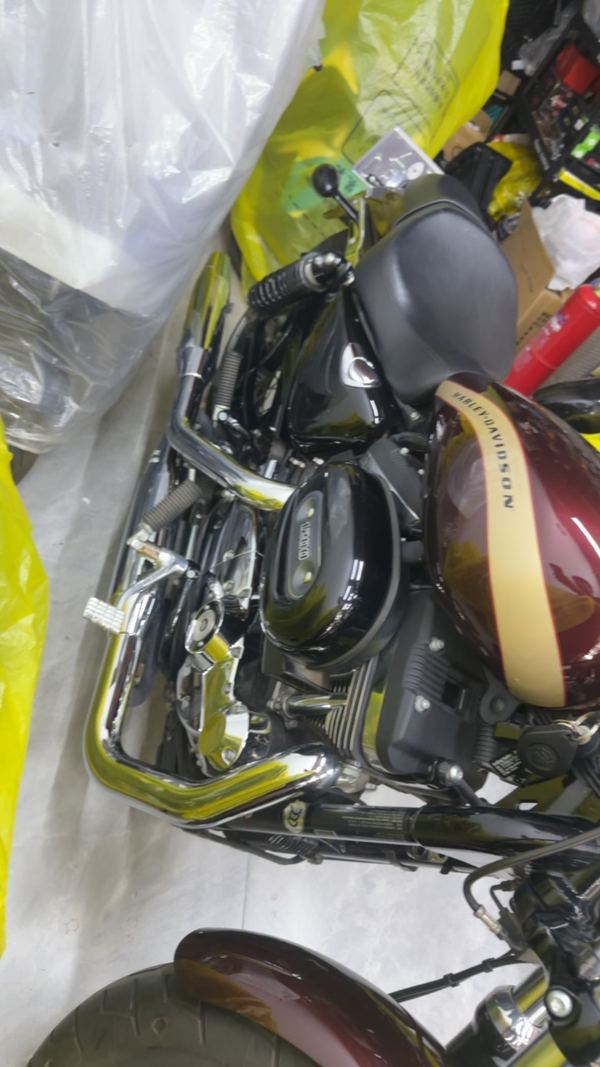 二手哈雷戴维森1200 Custom