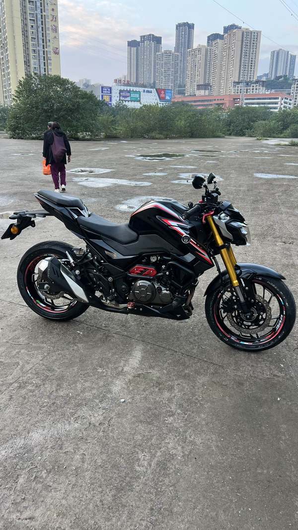 二手豪爵DR300