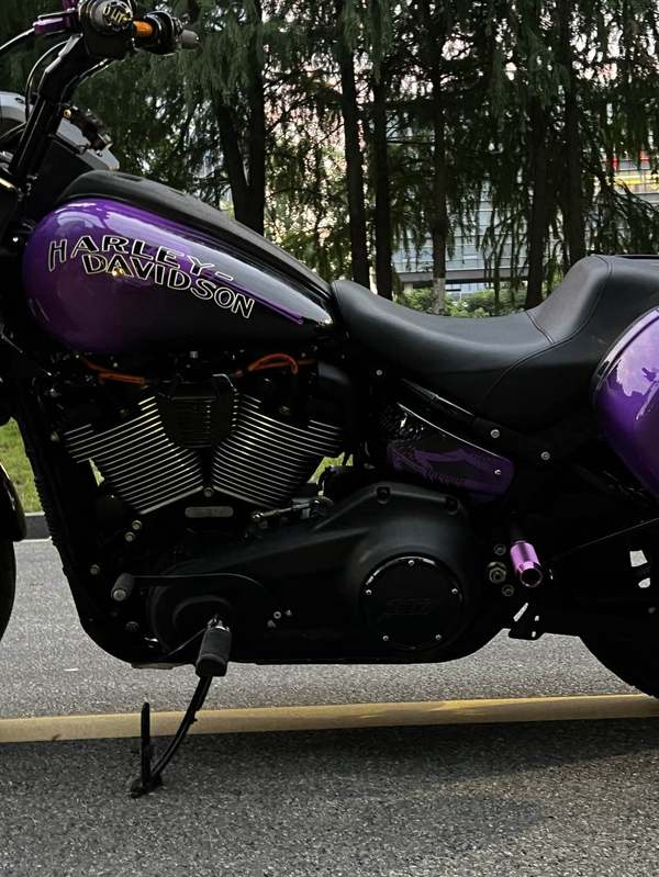 二手哈雷戴维森路威 Low Rider S