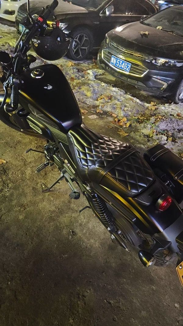二手赛科龙RA250