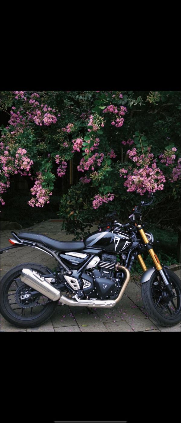 二手凯旋Speed 400