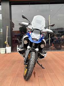 二手宝马R 1300 GS