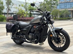 二手赛科龙RA401