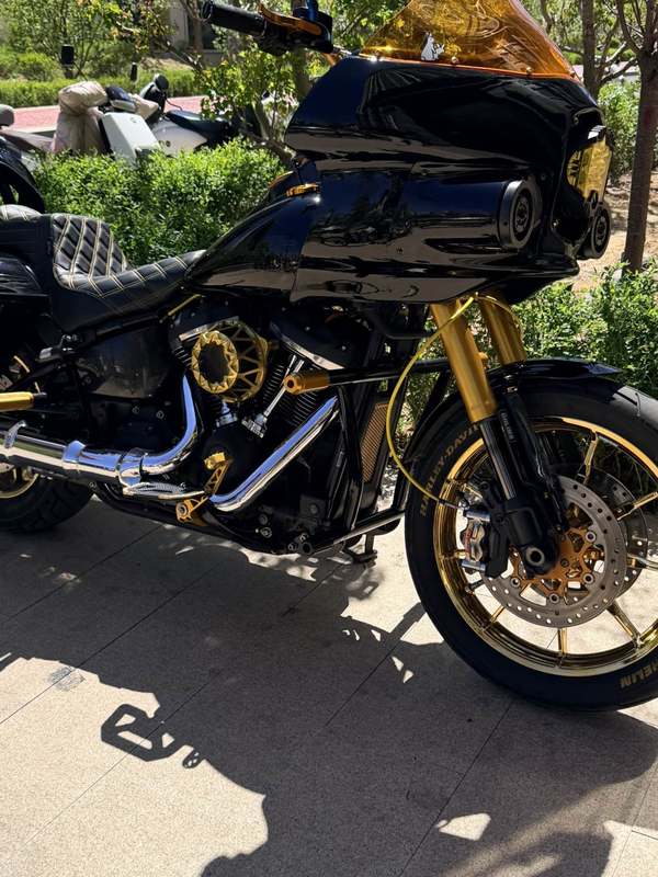 二手哈雷戴维森路威 Low Rider S