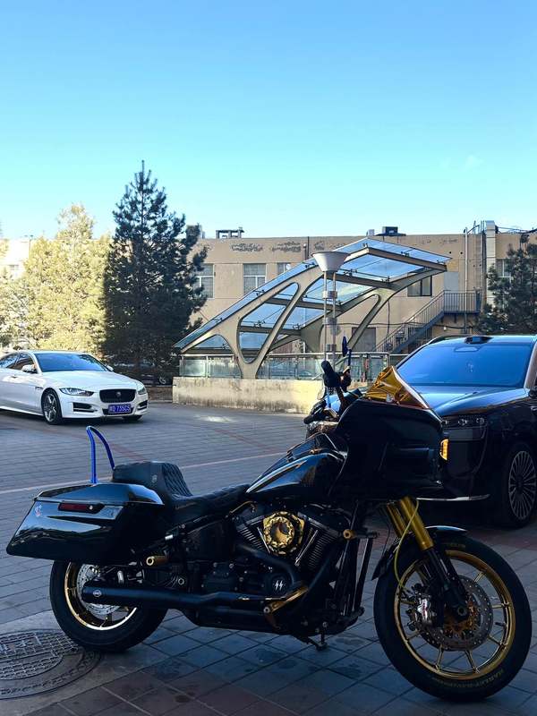 二手哈雷戴维森路威 Low Rider S