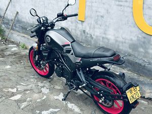 二手贝纳利幼狮 Leoncino 250