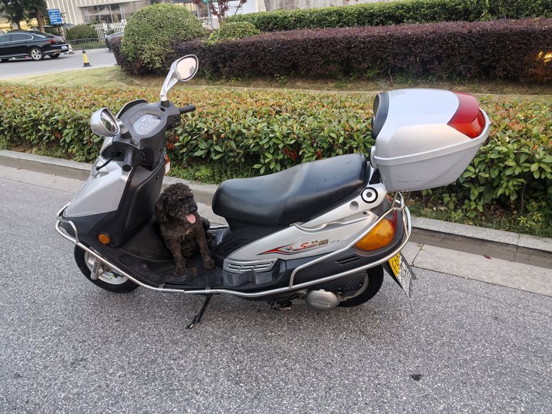 二手豪爵悦星HJ125T-9D