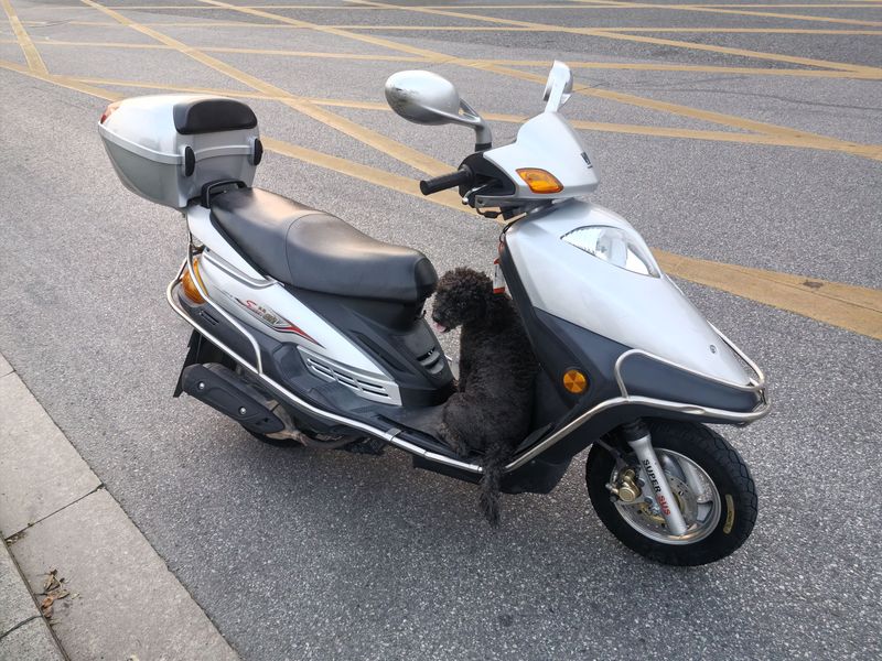 二手豪爵悦星HJ125T-9D