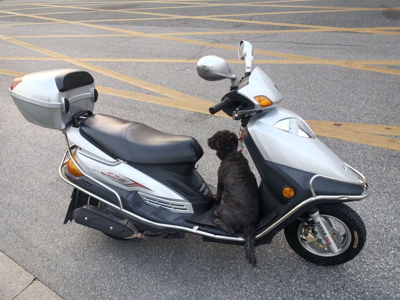 二手豪爵悦星HJ125T-9D