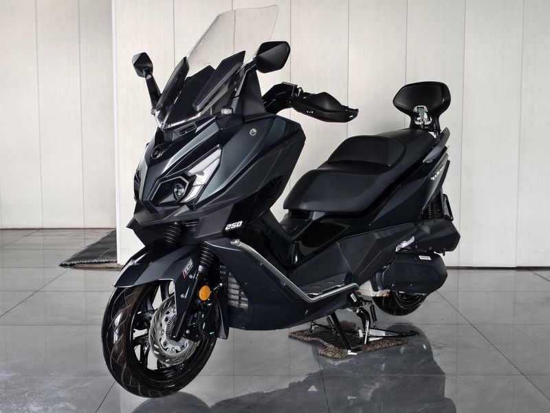 二手三阳巡弋 Cruisym250