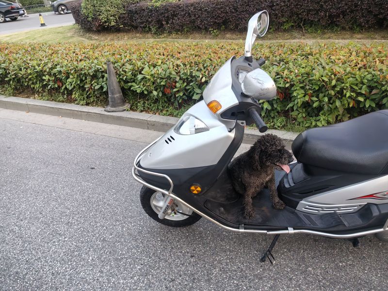 二手豪爵悦星HJ125T-9D
