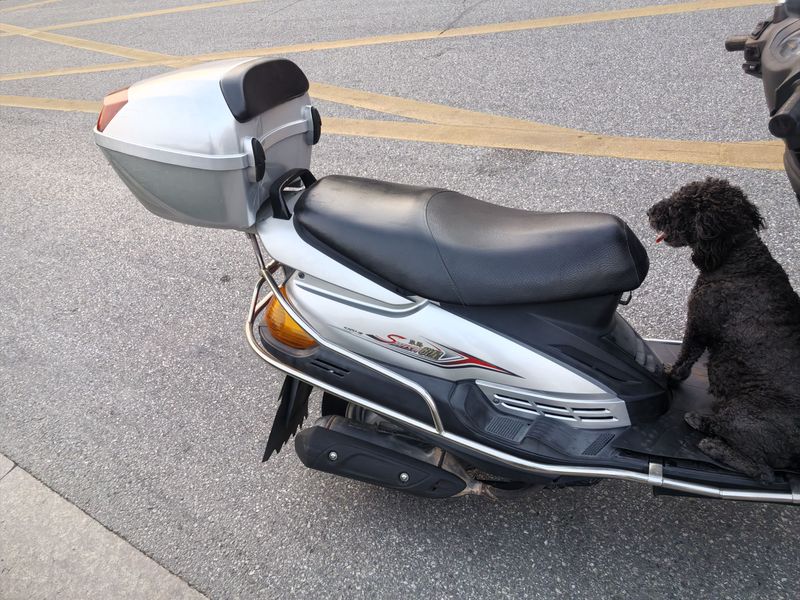 二手豪爵悦星HJ125T-9D