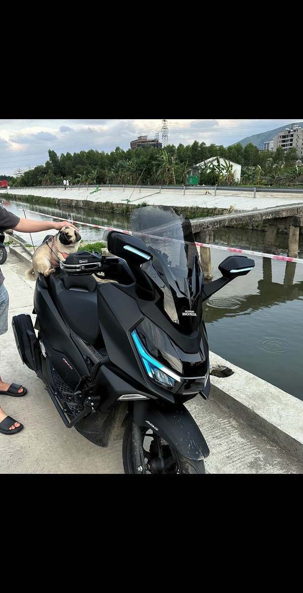 二手新大洲本田NS150GX
