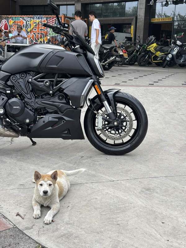 二手杜卡迪Diavel 