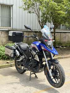 二手赛科龙RX1