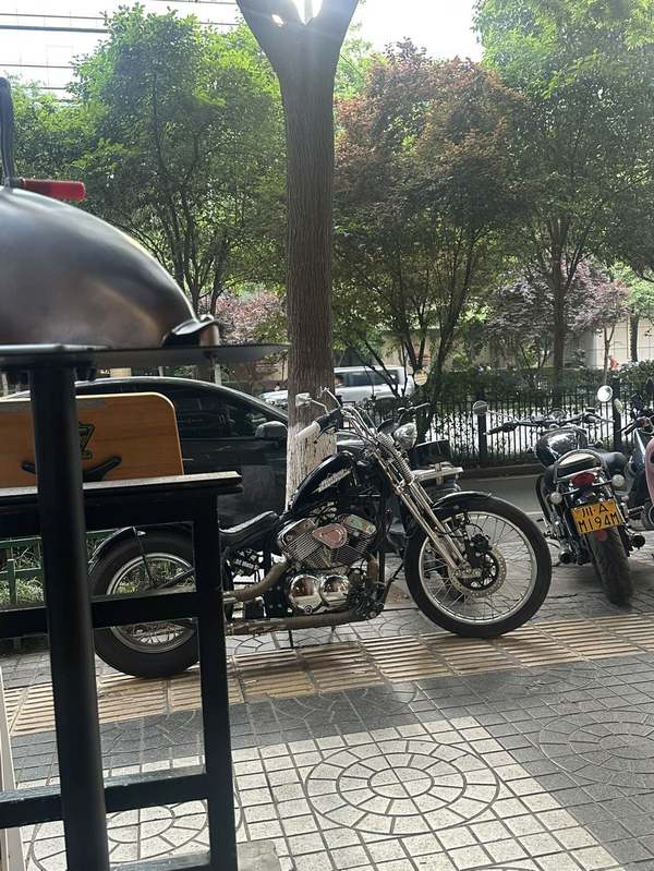 二手布沃克JY250硬尾版