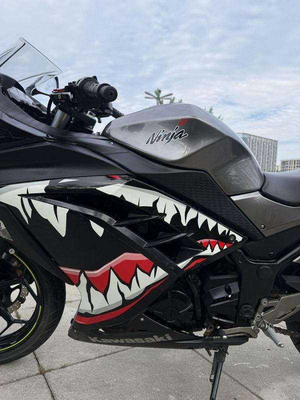 二手川崎Ninja 250