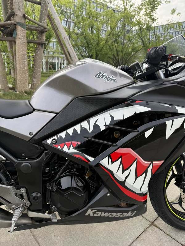 二手川崎Ninja 250