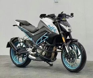 二手春风250NK