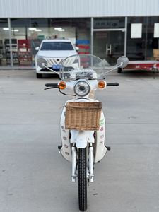 二手洛嘉后浪