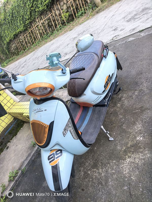 二手王野伊维莎