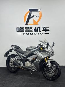 二手宝雕R1S500