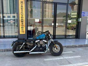 二手哈雷戴维森XL1200X Forty-Eight