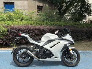 二手山洋SY250-H