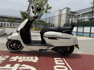 二手维多利亚Sixties 150Si