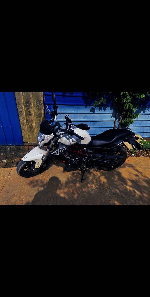 二手贝纳利蓝宝龙 BN302S