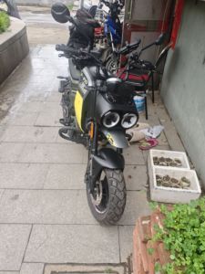 二手春风XO狒狒