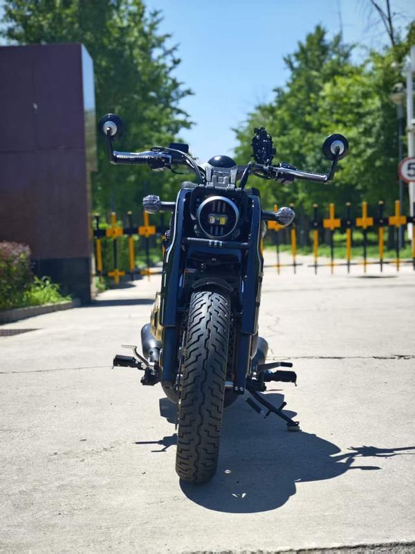 二手赛科龙RA600