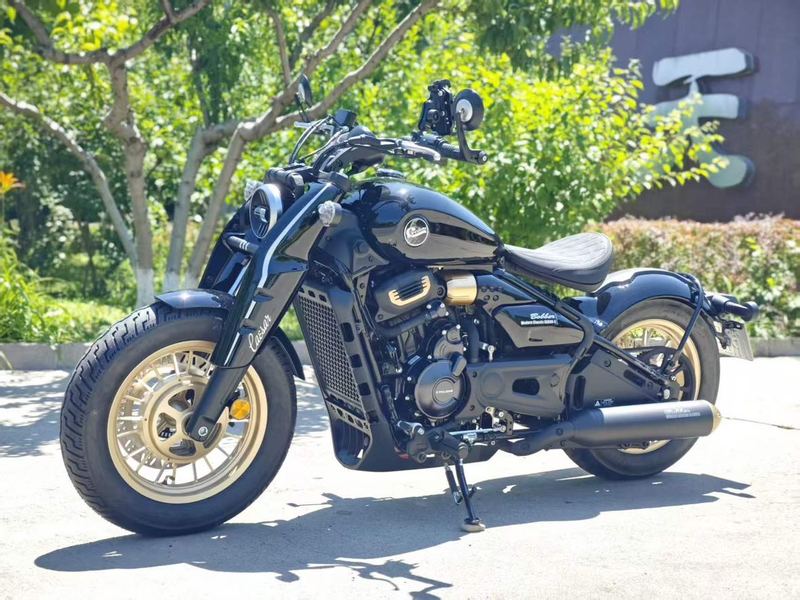 二手赛科龙RA600