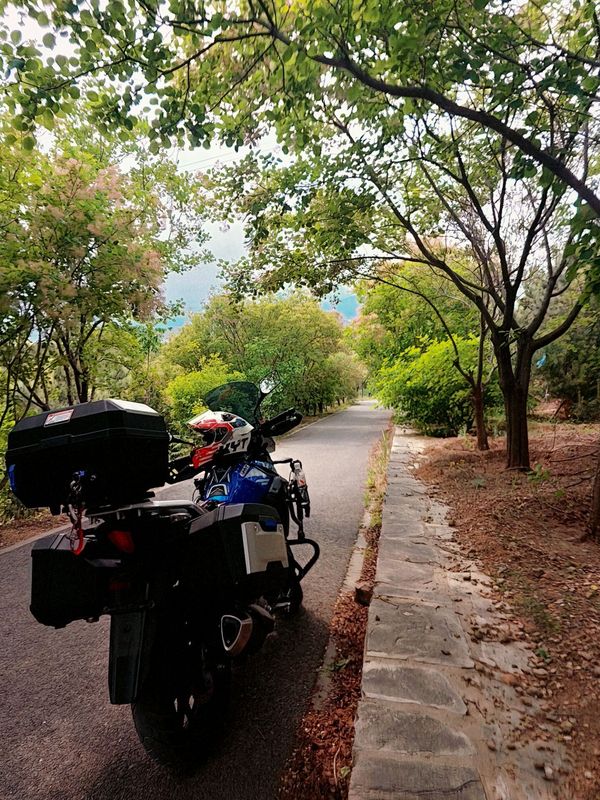 二手豪爵铃木DL250