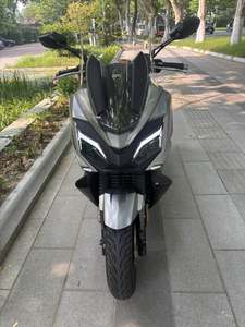 二手三阳行者 Joyride300