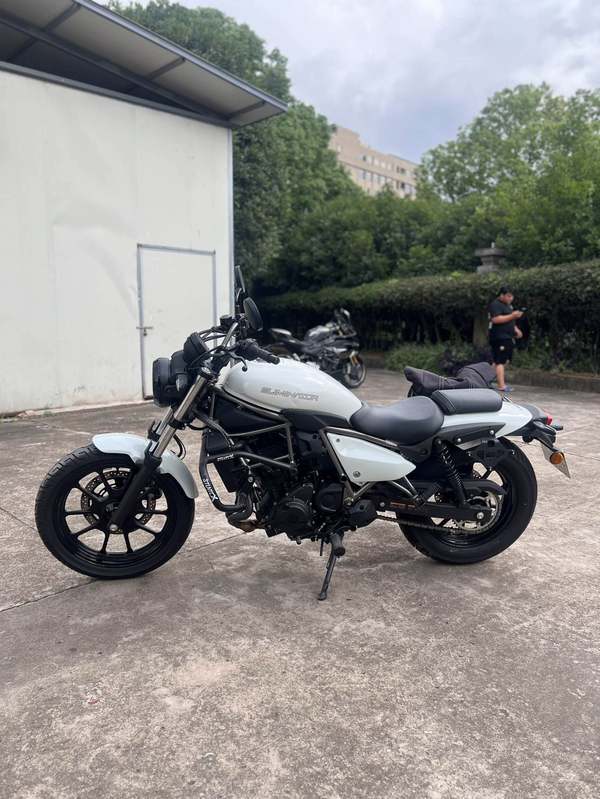 二手川崎Eliminator 500