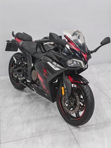 二手无极300RR