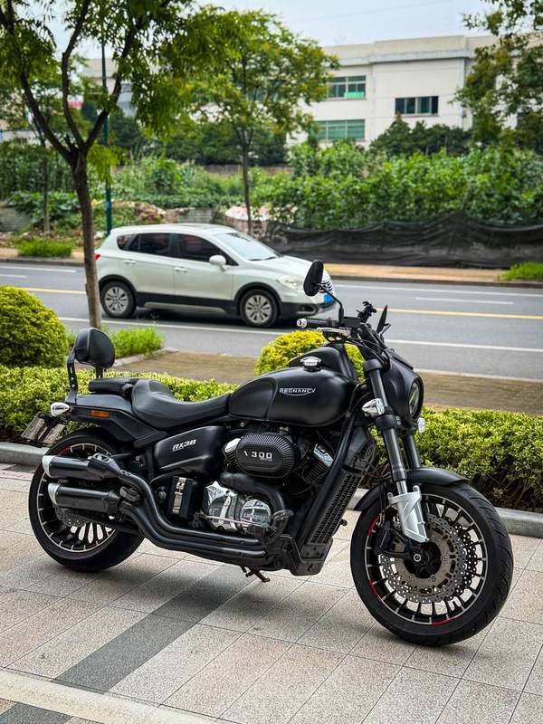 二手雷克RX3
