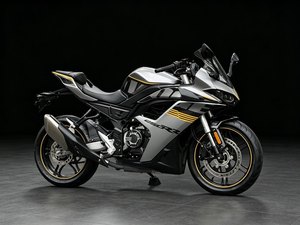 二手无极250RR
