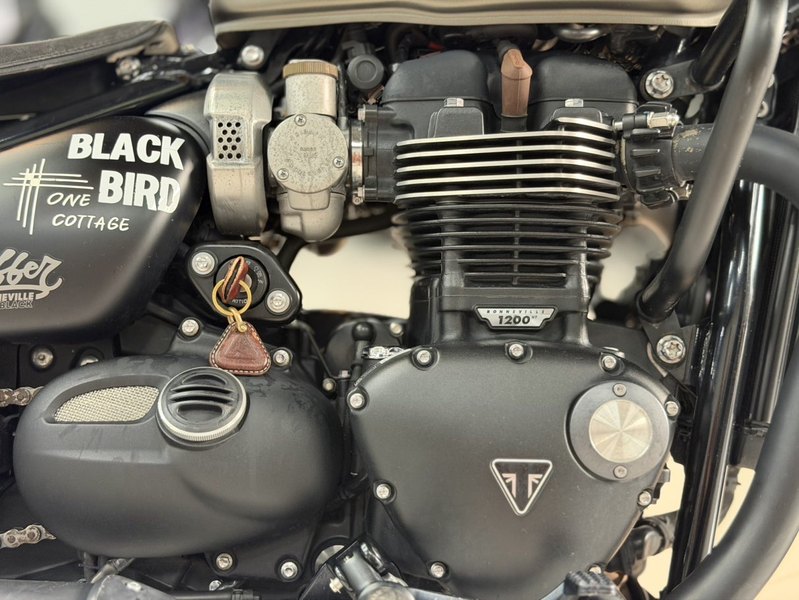 二手凯旋Bonneville Bobber