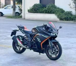 二手无极300RR